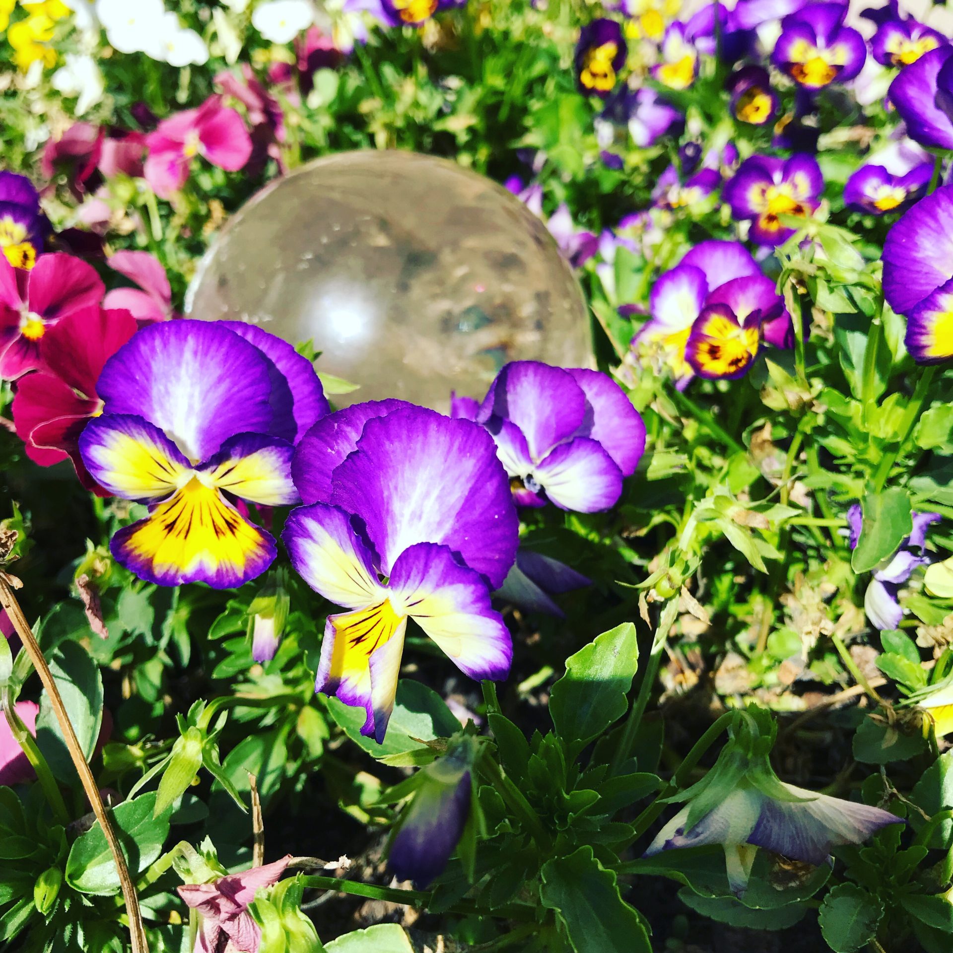 Love Yoga and want to learn more? | Head on over to our website for Yoga reads and essential oil purchases.