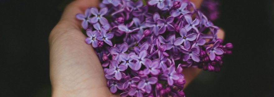 Shine Om encourages kids to get out and touch nature